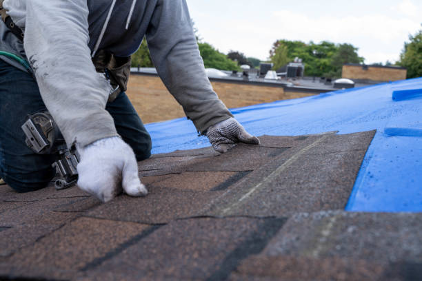 Best Emergency Roof Repair Services  in Wailea, HI