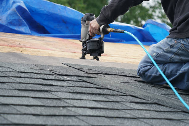 Best Chimney Flashing Repair  in Wailea, HI
