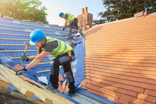 Best Skylight Installation and Repair  in Wailea, HI